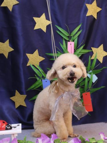 20230706あくびちゃん